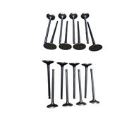 BAIC Freda M50S DAM15DL 8 intake valves and 8 exhaust valves M50-QM000