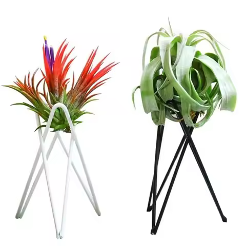 Nordic Style Air Plant Holder Metal Flower Pot Stand Geometric Iron Tillandsia Holder Art Display Ho