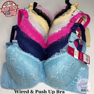 Bra Women Push Up Bra Wired Steel Ring Size 34～40 B Cup/Bra Wanita Push Up Ada Besi Span Tebal Ada D