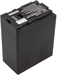 Replacement Battery Compatible with Panasonic HDC-SX5EG-S, HDC-SX5GCS-S, HDC-SX5GK, HDC-TM10, HDC-TM