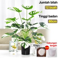 TANAMAN ARTIFICIAL DAUN PLASTIK ARTIFICIAL PLASTIK bunga sudut jumbo tinggi DEKORASI TANAMAN HIAS BU