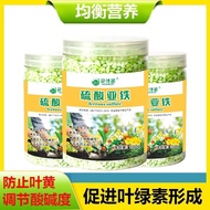 Hua Muxi Fertilizer Fertilizer Sulfate Auxiliary, Jasmine, Iron Tree, Rhododendron Universal Type Ho