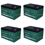 Chilwee Aki Kering 48V 12A - VRLA Battery 6 DZM 12 / 6 DZF 12 = 4 pcs - Hijau