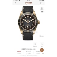 TUDOR TUDOR Biwan Series Bronze Watch