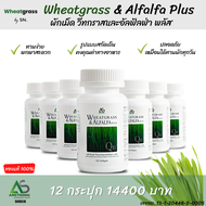 (12 กระปุก ส่งฟรี!!) ผักเม็ด Wheatgrass & Alfalfa Plus  อาหารเสริมแอมสตรอง วีทกราส อัลฟัลฟ่า พลัส อา