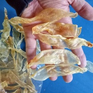 100g 金目鲈鱼胶 / Fish Maw / Gelembung atau Perut Ikan Siakap