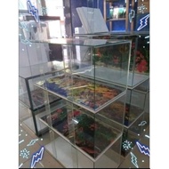 Glass Aquarium/Aquarium Kaca 2ft/2.5ft/3ft/4ft (Tolong tinggalkan no telepon untuk penghantaran)
