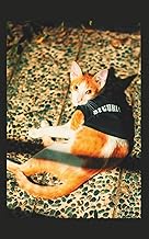 Password Log Book: Small 5x8 Password Organizer Notebook | 120 Pages for Secure Login Tracking