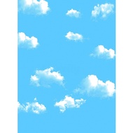 5x7FT Blue Sky Cloud vinyl Photography Backdrop Photo background Prop For Studio