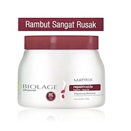 Matrix Biolage Repair Inside Damaged Hair Mask