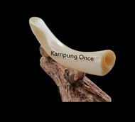 Pipa Once Iga Duyung Original