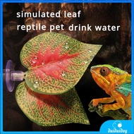 Aquascape Simulation Plant Feeding Water Leaf