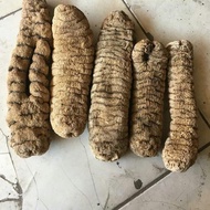 Teripang Kunyit Kering 1 Kg