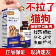 Cat Diarrhea Medicine Dog Cat Pull Belly Medicine Dog Pull Belly Pull Belly Medicine Pet Diarrhea Me
