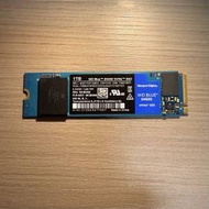 西數 WD Blue SN550 1TB NVMe M.2 SSD 送...
