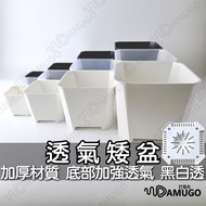 Succulent Flower Pot 3 Inch Block Root Square Breathable Plastic