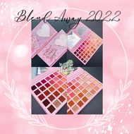 Plouise Blend Away Eye Palette 2022 50 Panels