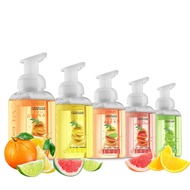 Foaming Hand Soap - Pack of 5 - Moisturizing Hand Soap with Aloe Vera & Essential Oils - Alcohol-Fre