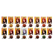 Issteru DIY Color Hair Dye 25ml (HALAL)