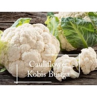 Biji Benih Segar  Summer Cauliflower Seed - 100 seed *Pot Friendly* Tanam Pasu,  Kobis Bunga, Sayur 