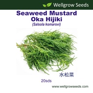 Seaweed Mustard - Oka Hijiki (20sds) 水松菜 Vegetable Seeds Wellgrow Seeds