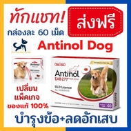 Antinol for dogs อาหารเสริม บำรุงข้อสุนัข ขนาด 60 เม็ด  exp.03/2025