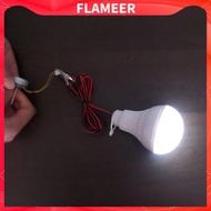 [FlameerMY] Small 3-phase Alternator Generator 3V-24V