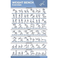 Weight Bench Exercise Posters for Home Gym Exercise Posters for Full Body Workout Core Abs Legs Glut