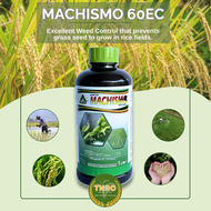 | TNRC | 1L MACHISMO 60EC BUTACHLOR by ALJAY | panlaban sa damo sa palayan - weed control for rice f