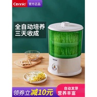 Kangli Automatic Bean Sprout Maker – Smart Home Multi-Function Sprouting Machine for Fresh Green Bea