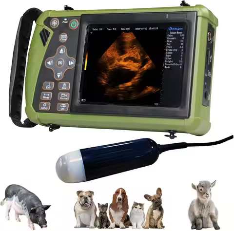 Portable Veterinary Ultrasound Scanner for Pregnancy Vet B Ultra Machine with 3.5MHz Convex Probe fo
