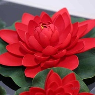 5 เมล็ด เมล็ดบัว ดอกสีแดง ดอกเล็ก พันธุ์แคระ จิ๋ว  ของแท้ 100% เมล็ดพันธุ์บัวดอกบัว ปลูกบัว เม็ดบัว สวนบัว บัวอ่าง Lotus seed