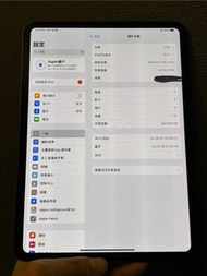 二手 98%新 ipad pro 11吋2024 M4 Wifi 1TB  香港🇭🇰行貨