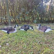 Goose Hunting PP Goose Canada Goose Courtyard Outdoor Bait Simulation Decoration Canada Hollow Board