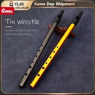 Authentic Irish Whistle Flute C or D Key Whistle 6 Holes Perfect Traditional Irish Music Instrument