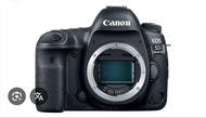 Canon 5D4 or 5d3 body