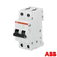 SY202-C100 เซอร์กิตเบรกเกอร์ 100Amp 2Pole 10KA (ABB)