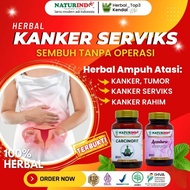 Cervical Cancer Medicine Vaginal Cancer miss v Lumps