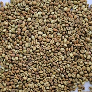 biji kopi mentah - robusta green bean 1kg