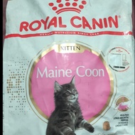 Royal canin mainecoon kitten