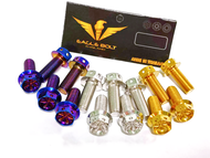 น๊อตสแตนเลส หัวเจาะดาว เบอร์12(M8) ความยาว12-80มิล (เลสทองไทเท) ราคา1ตัว