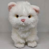 Boneka Kucing Bengal/Himalayan/Orange/Dll (S) Murah