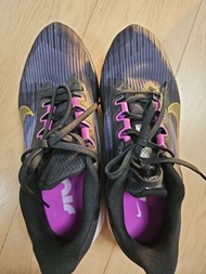 Winflo 10