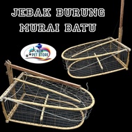 Jebak Burung Murai Batu