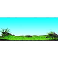 3d aquarium stickers, arowana fish pond, arhat fish, discus fish...