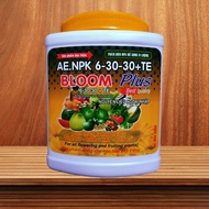 AE.NPK 6 - 30 -30 + TE. HỦ 500G. KÍCH THÍCH RA HOA TRÁI VỤ. TRÁI TO - CHẮC HẠT - LỚN CỦ