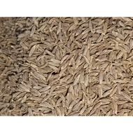 Cumin Seed Yellowish brown in color 3 to 6 mm