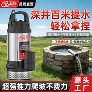 60V72V Volt Brushless DC Submersible Pump Battery Car Household Agricultural Irrigation High Irrigat