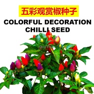 [Free Delivery]2025 Chilli seed chilli seed/pepper seed/sweet capsicum/green cayenne pepper seed dec