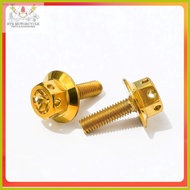╰ ✈ ❍ HENG Motorcycle Front Cowling Bolt Kit - Gold & Silver Options for Mio Sporty, SoultY, Amore,